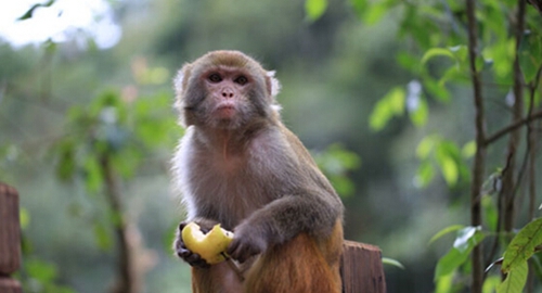 Pu'er Sun River National Park takes the lead in developing tourism industry of Pu'er