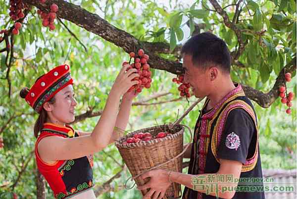 Jiangcheng Sanya Berry