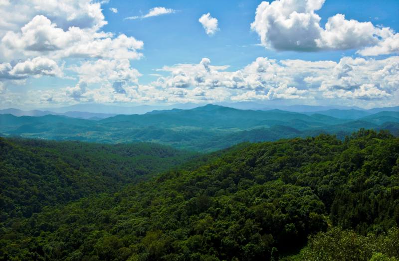 Two scenic spots in Pu'er shortlisted for review of Yunnan's new tourism landmarks