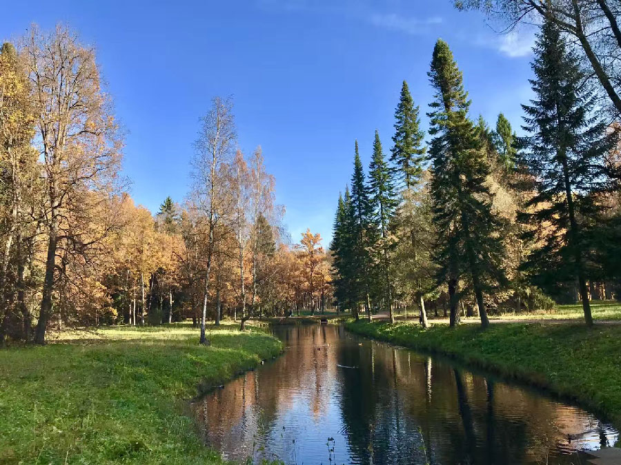 Citizens in Saint Petersburg enjoy autumnal beauty