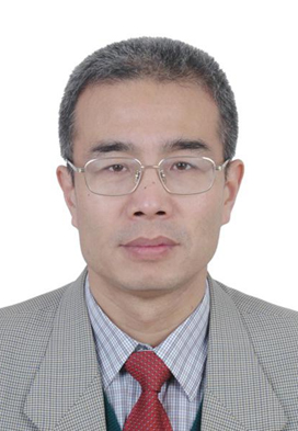Wang Jun，Doctor of Management and Professor of Economics, President of the Academy of Greater Bay Area Studies.