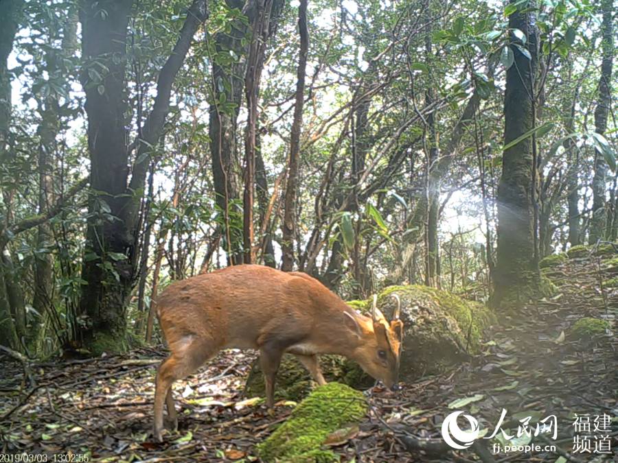 Scientific expedition team digs nature reserve in southeast China
