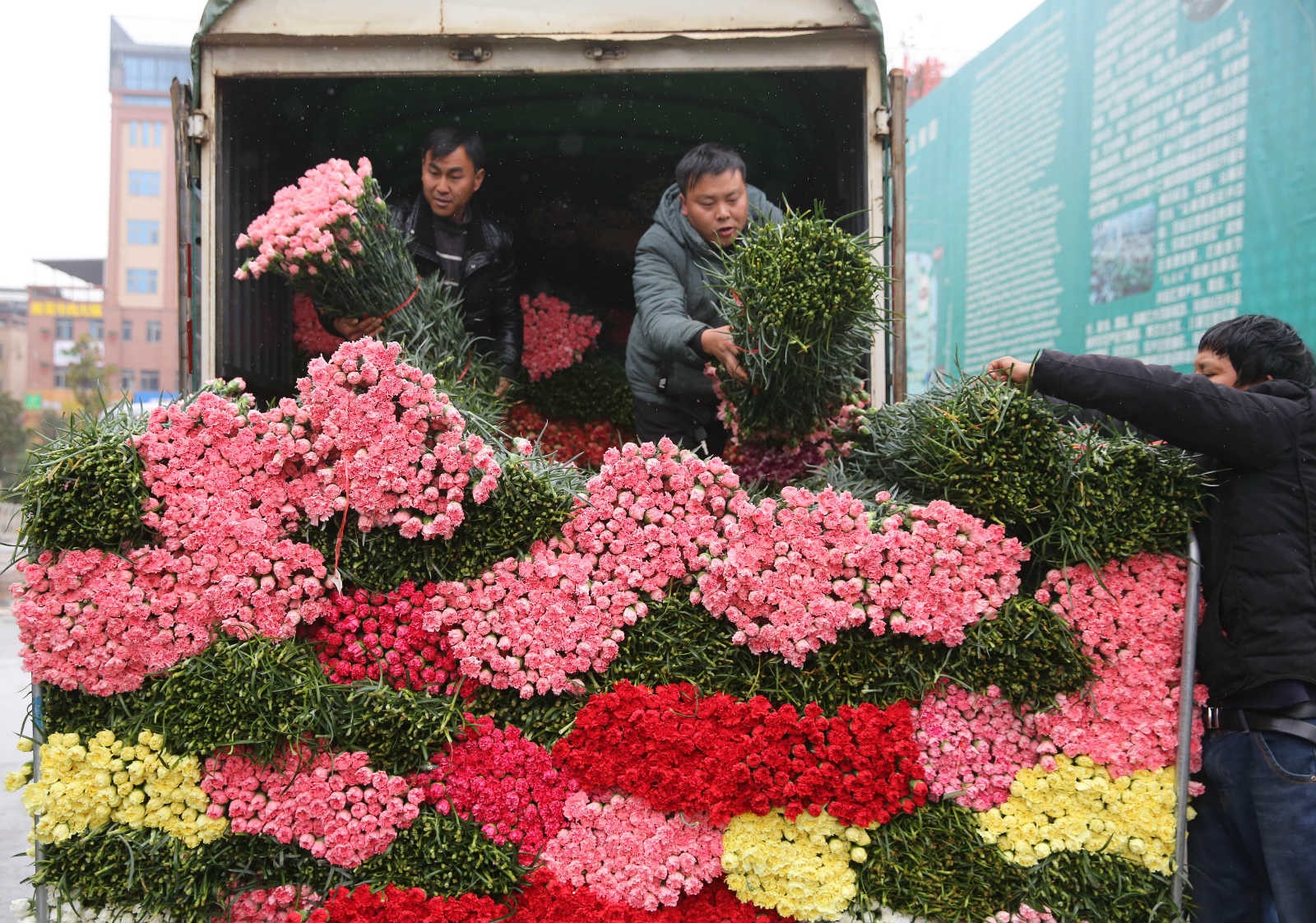 National political advisor suggests enhancing scientific, technological support for rural vitalization