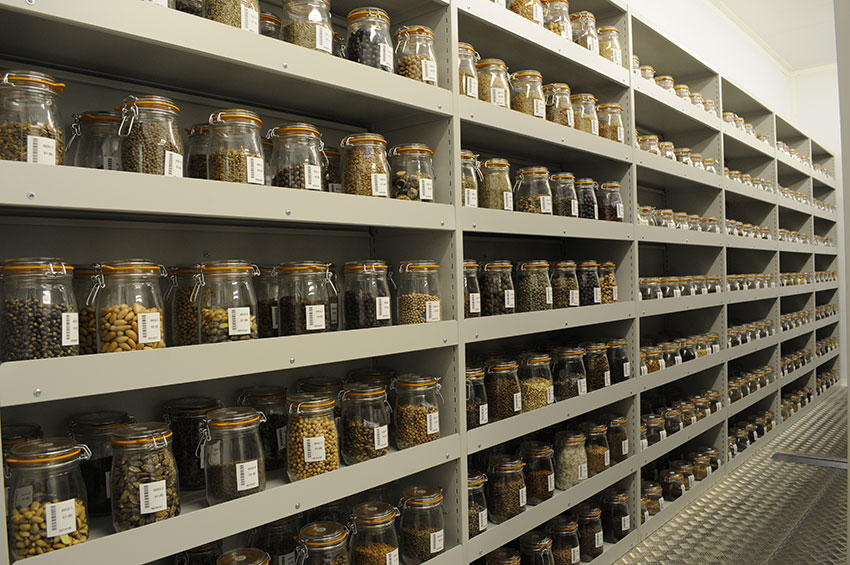 SW China's germplasm bank of wild species: 