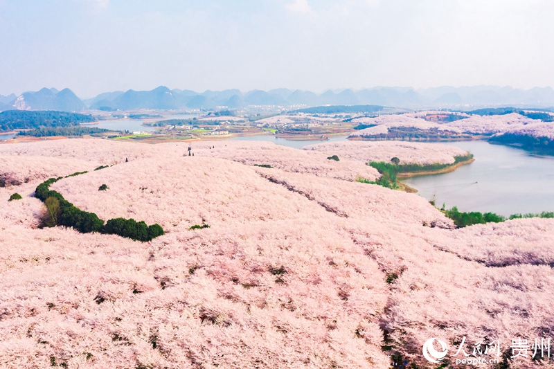 Splendid scenery of SW China's Guizhou in four seasons