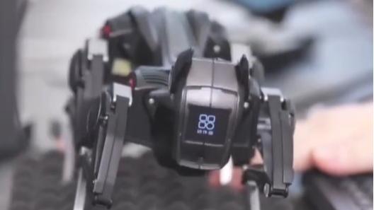 Meet the robotic dog wowing the two sessions