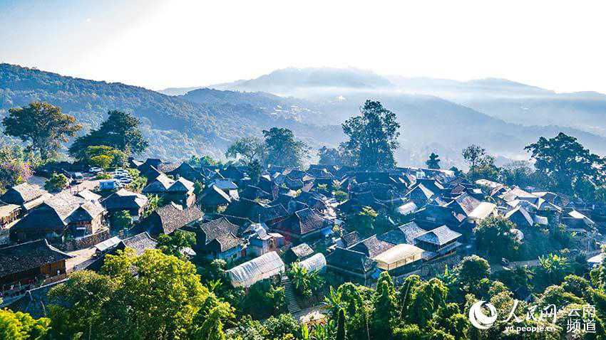景邁山古茶林中的少數(shù)民族傳統(tǒng)村落。人民網(wǎng) 虎遵會(huì)攝