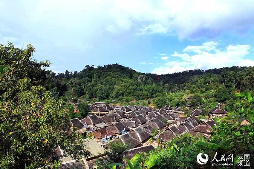 景邁山古茶林中的少數(shù)民族傳統(tǒng)村落。普洱市委宣傳部供圖