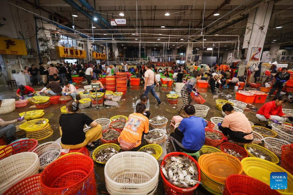 Swimming crabs harvested in Zhoushan, China's Zhejiang
