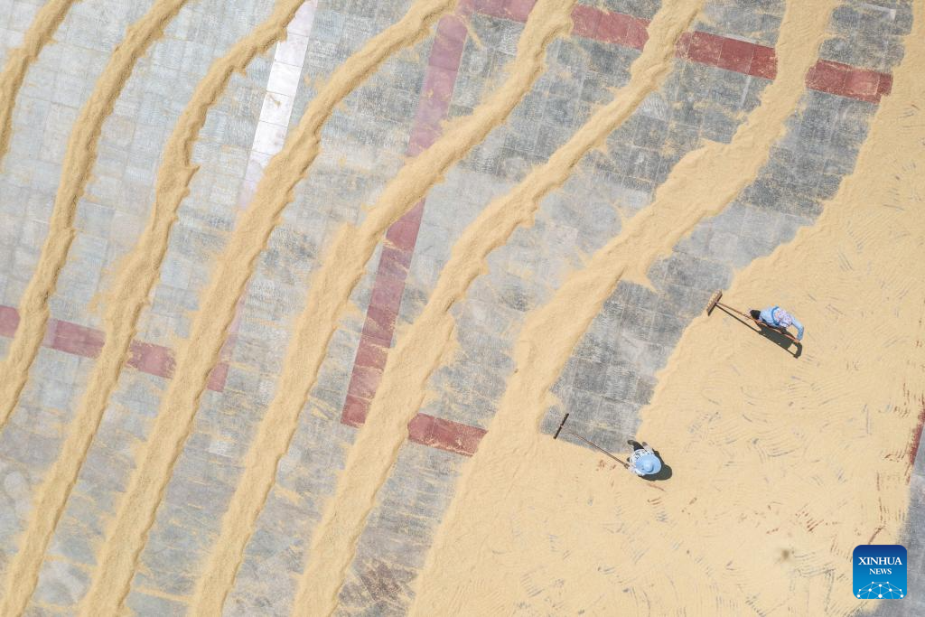 People dry grain at government compound in SW China