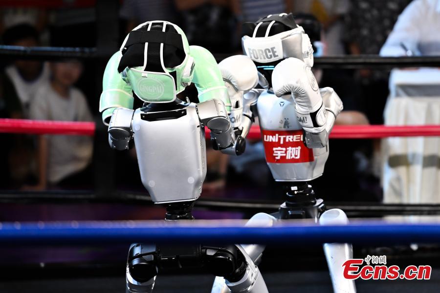 Robots showcase skills at World Smart Industry Expo 2025